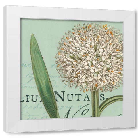 Botanique Bleu II White Modern Wood Framed Art Print by Wild Apple Portfolio