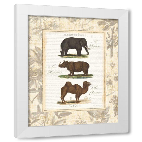 African Animals II White Modern Wood Framed Art Print by Wild Apple Portfolio