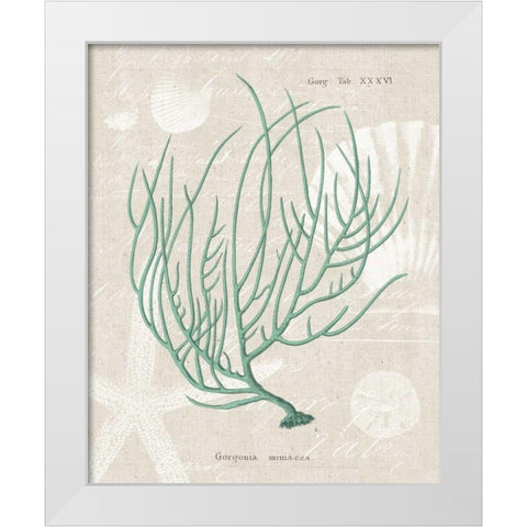 Gorgonia Miniacea on Linen Sea Foam White Modern Wood Framed Art Print by Wild Apple Portfolio