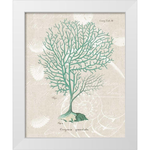 Gorgonia Granulata on Linen Sea Foam White Modern Wood Framed Art Print by Wild Apple Portfolio