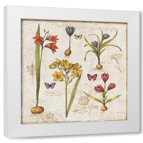 Histoire Naturelle VI White Modern Wood Framed Art Print by ERR, Pela