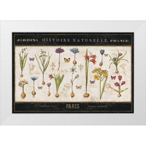 Histoire Naturelle I White Modern Wood Framed Art Print by ERR, Pela