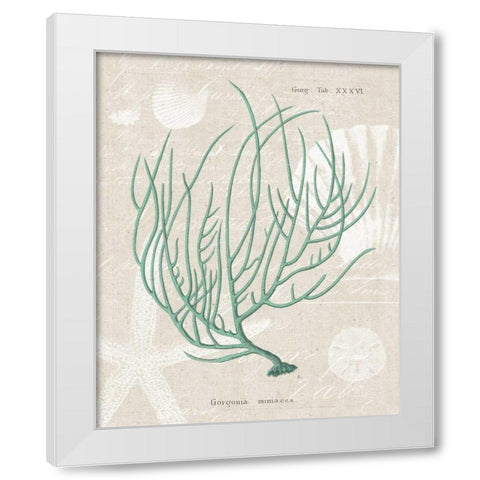 Gorgonia Miniacea on Linen Sea Foam White Modern Wood Framed Art Print by Wild Apple Portfolio