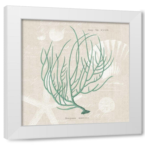 Gorgonia Miniacea White Modern Wood Framed Art Print by Wild Apple Portfolio