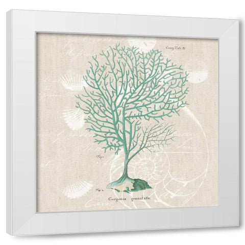Gorgonia Granulata White Modern Wood Framed Art Print by Wild Apple Portfolio