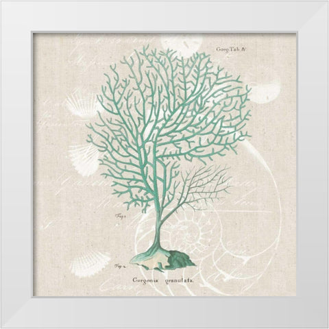 Gorgonia Granulata White Modern Wood Framed Art Print by Wild Apple Portfolio