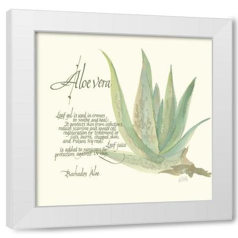 Aloe Vera White Modern Wood Framed Art Print by Paschke, Chris