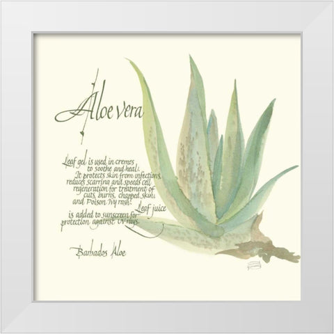 Aloe Vera White Modern Wood Framed Art Print by Paschke, Chris