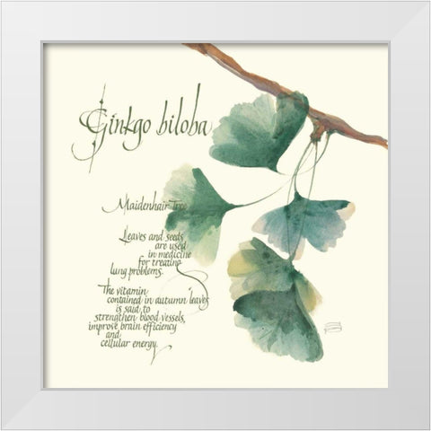 Ginkgo Biloba White Modern Wood Framed Art Print by Paschke, Chris