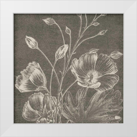 Botanical Beauty Chalk Square IX White Modern Wood Framed Art Print by Wild Apple Portfolio