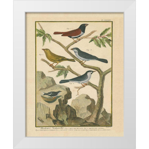 Bird Drawing IV White Modern Wood Framed Art Print by Wild Apple Portfolio
