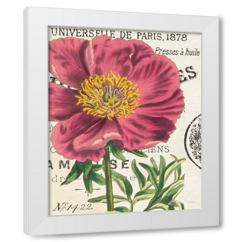 Peony Botany White Modern Wood Framed Art Print by Schlabach, Sue