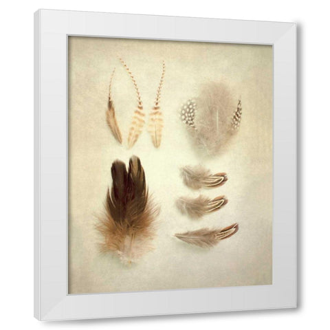 Feathers II White Modern Wood Framed Art Print by Urquhart, Elizabeth