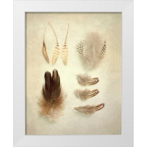 Feathers II White Modern Wood Framed Art Print by Urquhart, Elizabeth