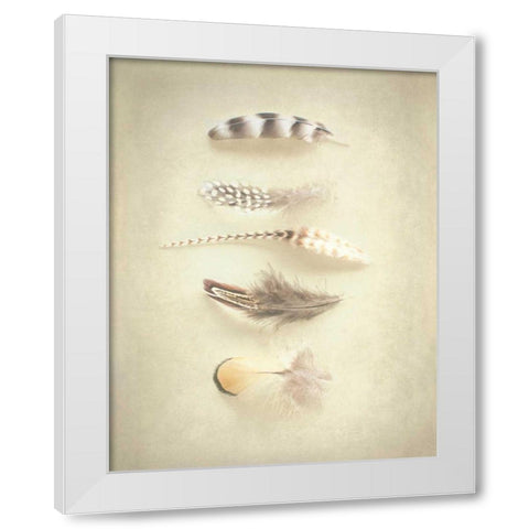 Feathers III White Modern Wood Framed Art Print by Urquhart, Elizabeth