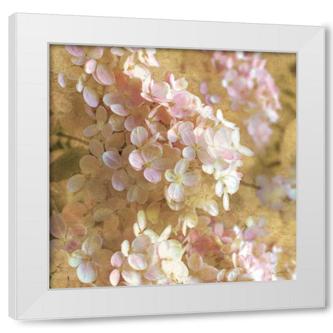 Gilded Hydrangea I White Modern Wood Framed Art Print by Schlabach, Sue