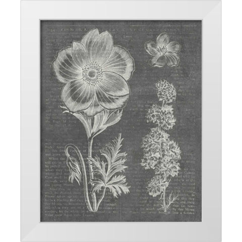 Eden Spring I Gray White Modern Wood Framed Art Print by Wild Apple Portfolio