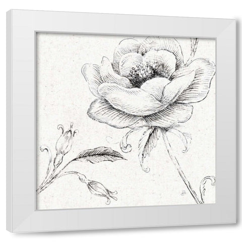 Blossom Sketches II White Modern Wood Framed Art Print by Brissonnet, Daphne