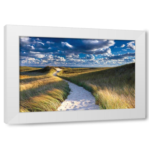 Philbin Beach Path White Modern Wood Framed Art Print by Gendreau, Katherine