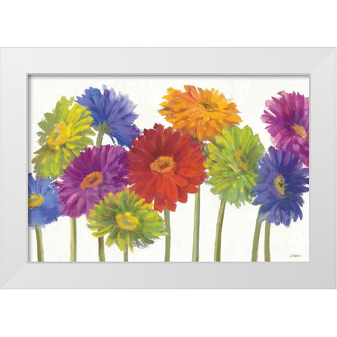 Colorful Gerbera Daisies White Modern Wood Framed Art Print by Rowan, Carol