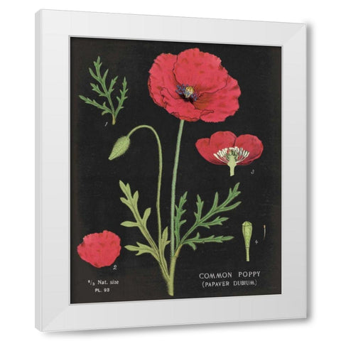 Poppy Chart White Modern Wood Framed Art Print by Schlabach, Sue