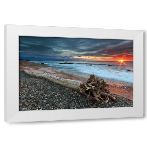 Sakonnet Driftwood White Modern Wood Framed Art Print by Gendreau, Katherine