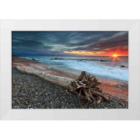 Sakonnet Driftwood White Modern Wood Framed Art Print by Gendreau, Katherine