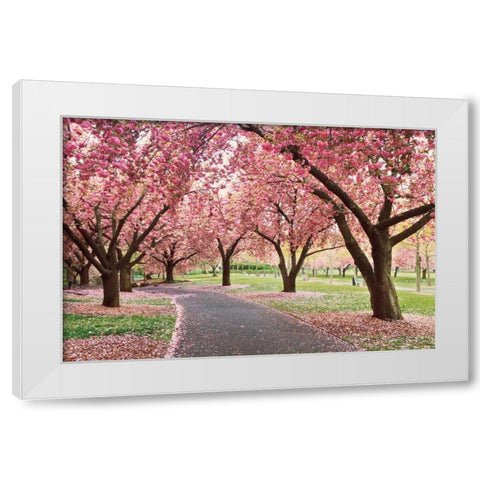 Cherry Parade White Modern Wood Framed Art Print by Gendreau, Katherine