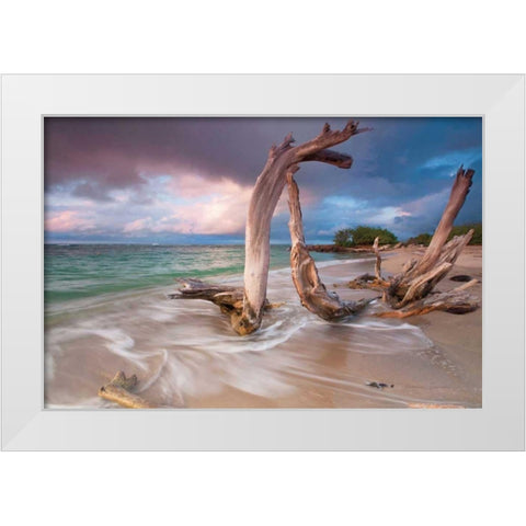 Driftwood Sunset White Modern Wood Framed Art Print by Gendreau, Katherine