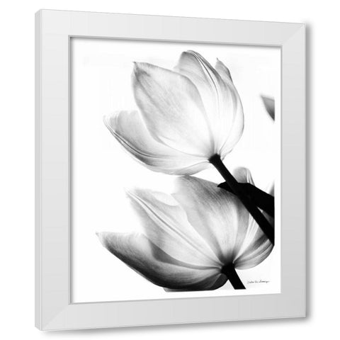 Translucent Tulips II no border White Modern Wood Framed Art Print by Van Swearingen, Debra