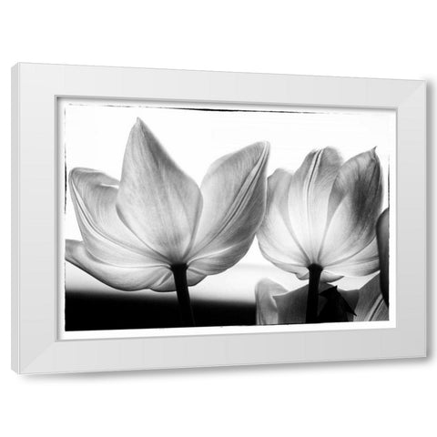 Translucent Tulips V White Modern Wood Framed Art Print by Van Swearingen, Debra