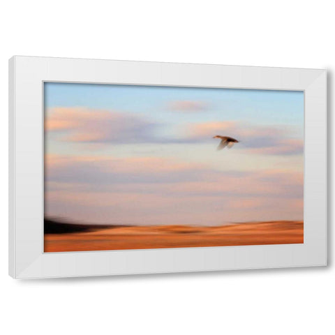 Flight White Modern Wood Framed Art Print by Gendreau, Katherine