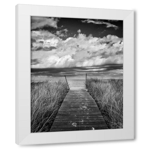Oak Bluffs Beach Path Crop White Modern Wood Framed Art Print by Gendreau, Katherine