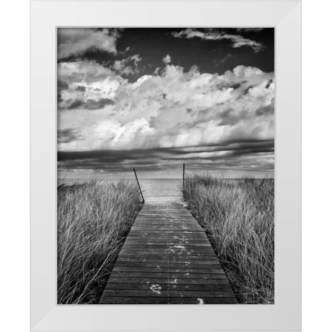 Oak Bluffs Beach Path Crop White Modern Wood Framed Art Print by Gendreau, Katherine