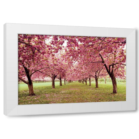 Hall of Cherries White Modern Wood Framed Art Print by Gendreau, Katherine