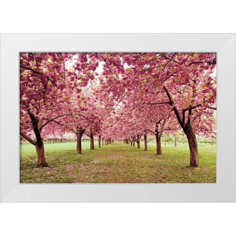 Hall of Cherries White Modern Wood Framed Art Print by Gendreau, Katherine