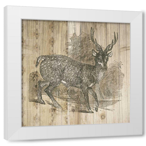 Natural History Lodge III White Modern Wood Framed Art Print by DeNeige, Elyse