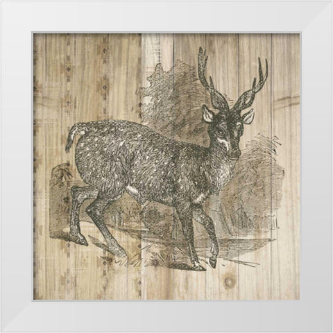 Natural History Lodge III White Modern Wood Framed Art Print by DeNeige, Elyse