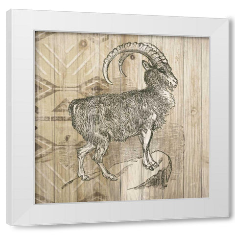 Natural History Lodge VII White Modern Wood Framed Art Print by Wild Apple Portfolio