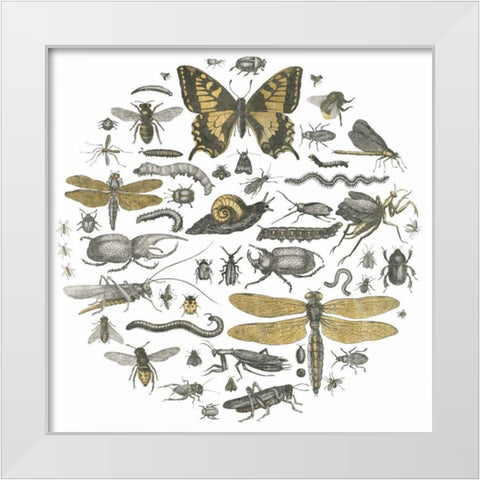 Insect Circle II White Modern Wood Framed Art Print by Wild Apple Portfolio