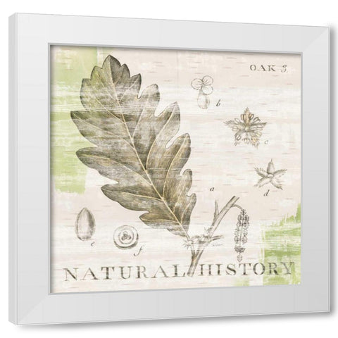 Natural History Oak III White Modern Wood Framed Art Print by Schlabach, Sue