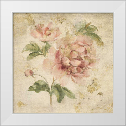 Coral Rose on Antique Linen Light Gold White Modern Wood Framed Art Print by Blum, Cheri