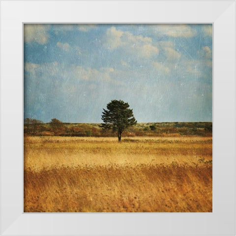 The Lonely Tree White Modern Wood Framed Art Print by Gendreau, Katherine