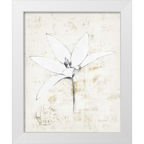 Pencil Floral XII Gold White Modern Wood Framed Art Print by Tillmon, Avery