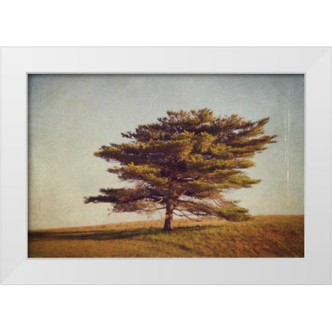 Windward Tree White Modern Wood Framed Art Print by Gendreau, Katherine