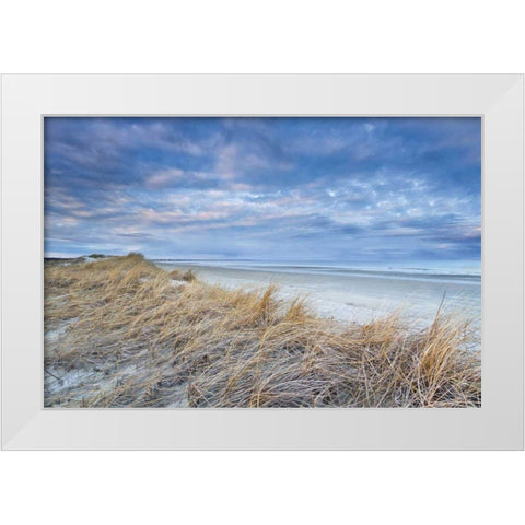Gold in the Hills White Modern Wood Framed Art Print by Gendreau, Katherine