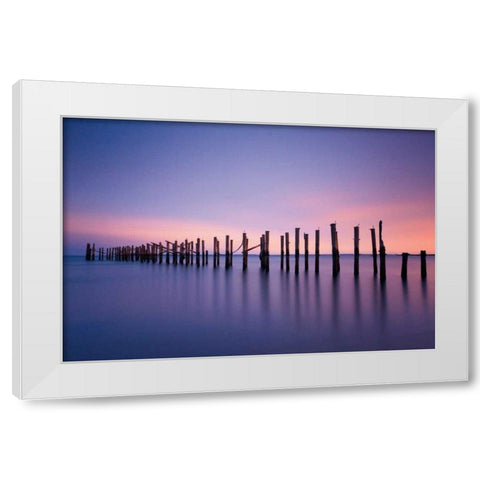 Still Color White Modern Wood Framed Art Print by Gendreau, Katherine