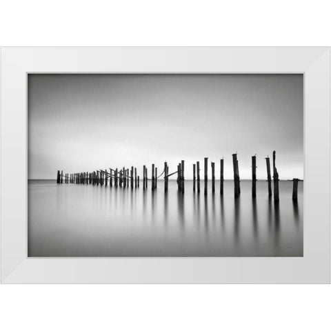 Still BW White Modern Wood Framed Art Print by Gendreau, Katherine