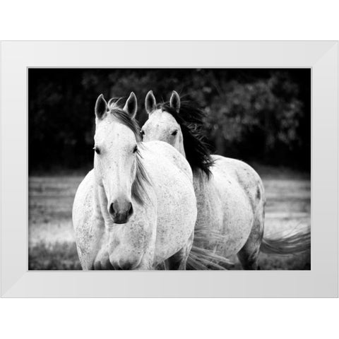 Two Wild Horses BW White Modern Wood Framed Art Print by Van Swearingen, Debra