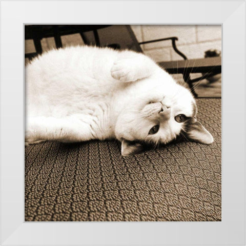 Kitty II Crop White Modern Wood Framed Art Print by Dratfield, Jim